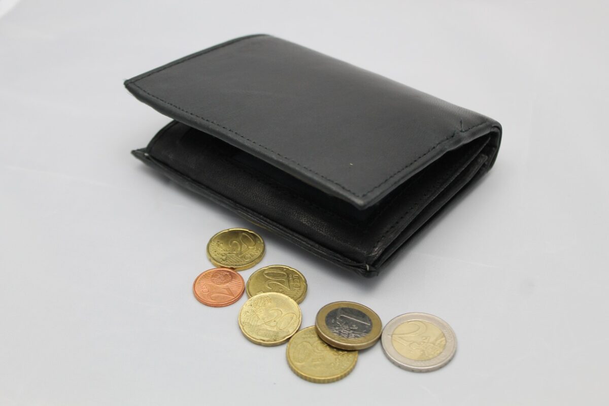 Skórzany, Europa, metal, pieniądze, styl życia, portfel, gotówka, waluta, euro, moneta, zapisać, Monety, podatki, cent, pieniądze metalowe, gotówka i odpowiedniki gotówki, finanse, loose Change, ekonomiczny, zapłacić, bilon, obliczać, portmonetka, kłopot , wzięty