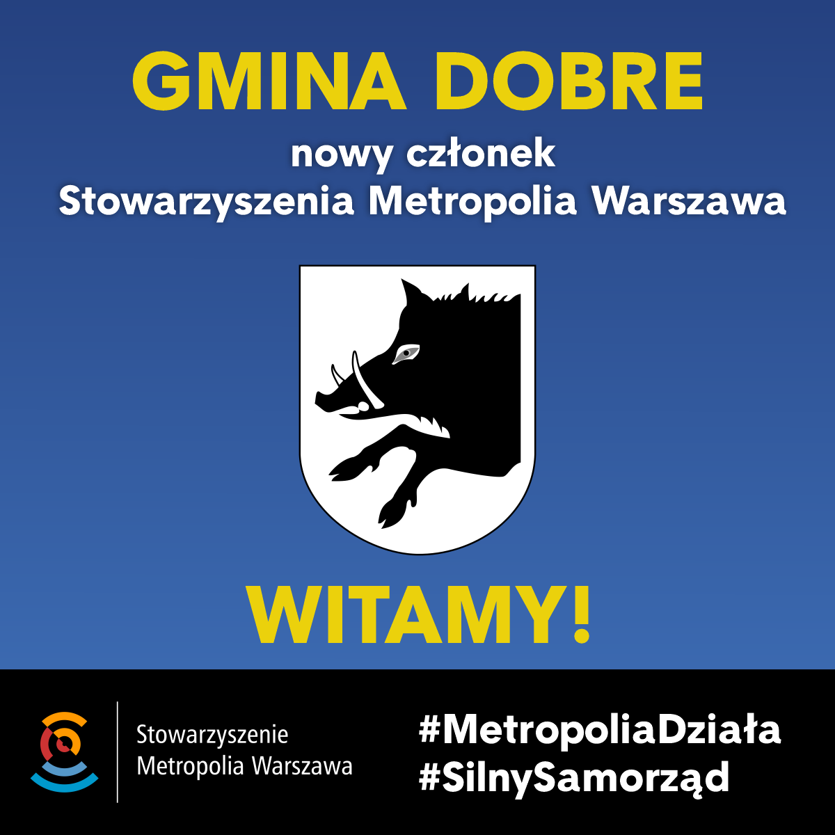 Czarna grafika dzika na białym tle, nad nim napis - Gmina Dobre