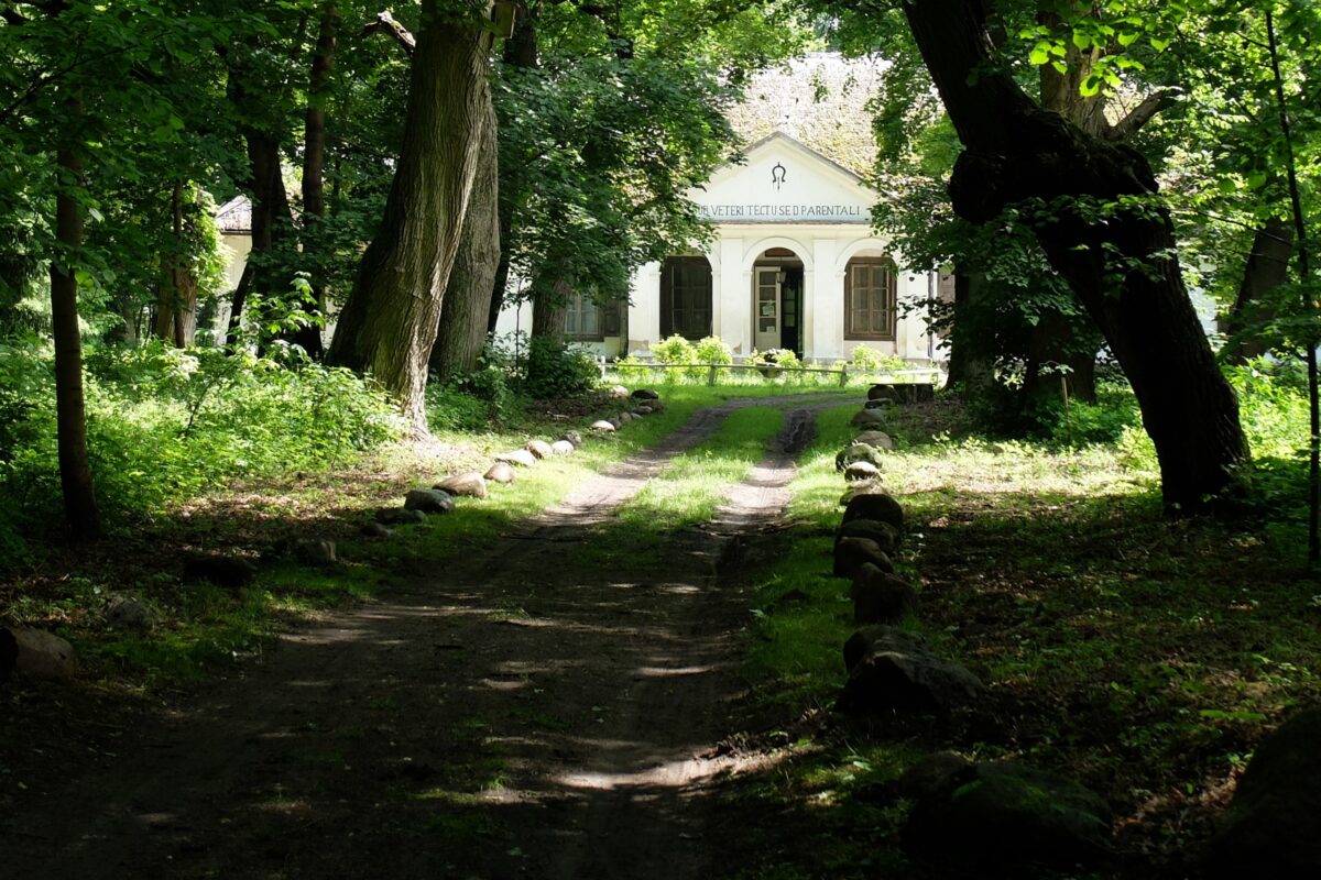 Park z pałacem