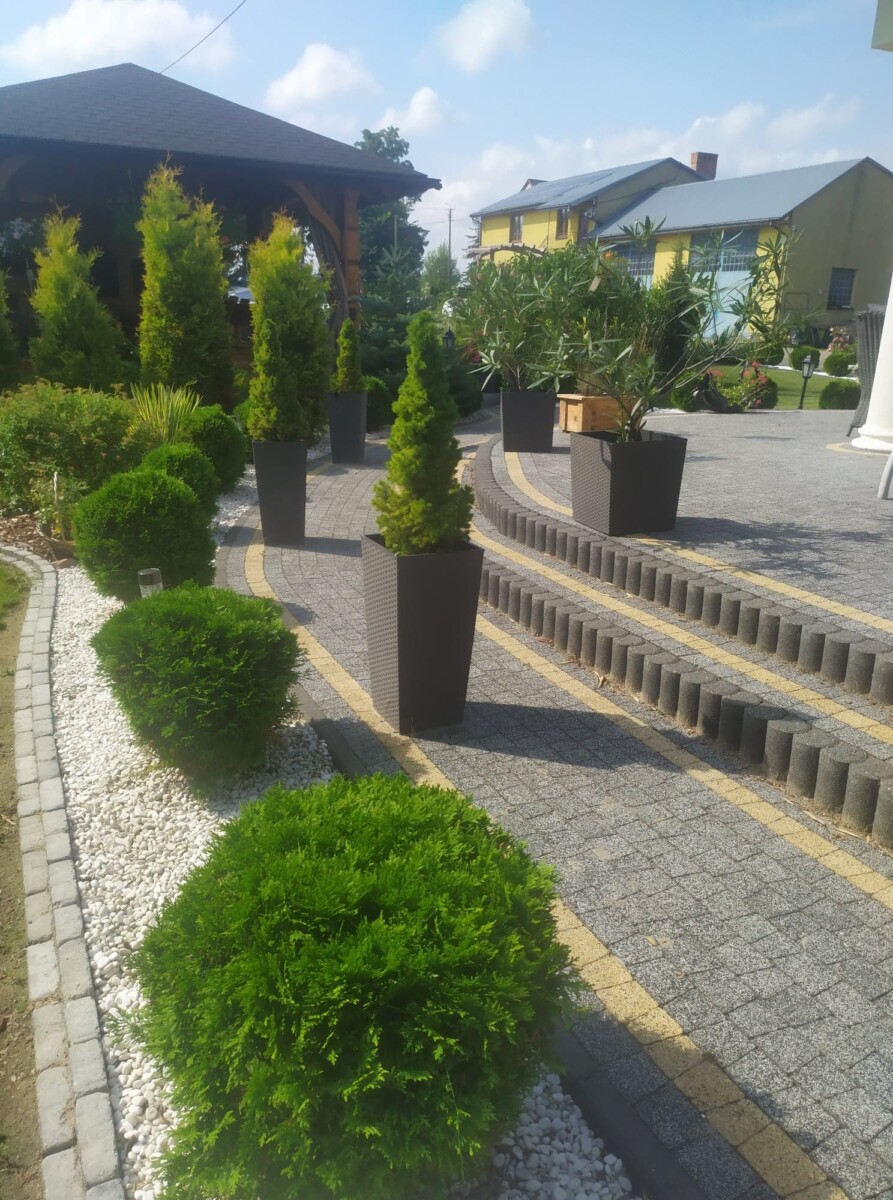 Kwiaty w doniczce