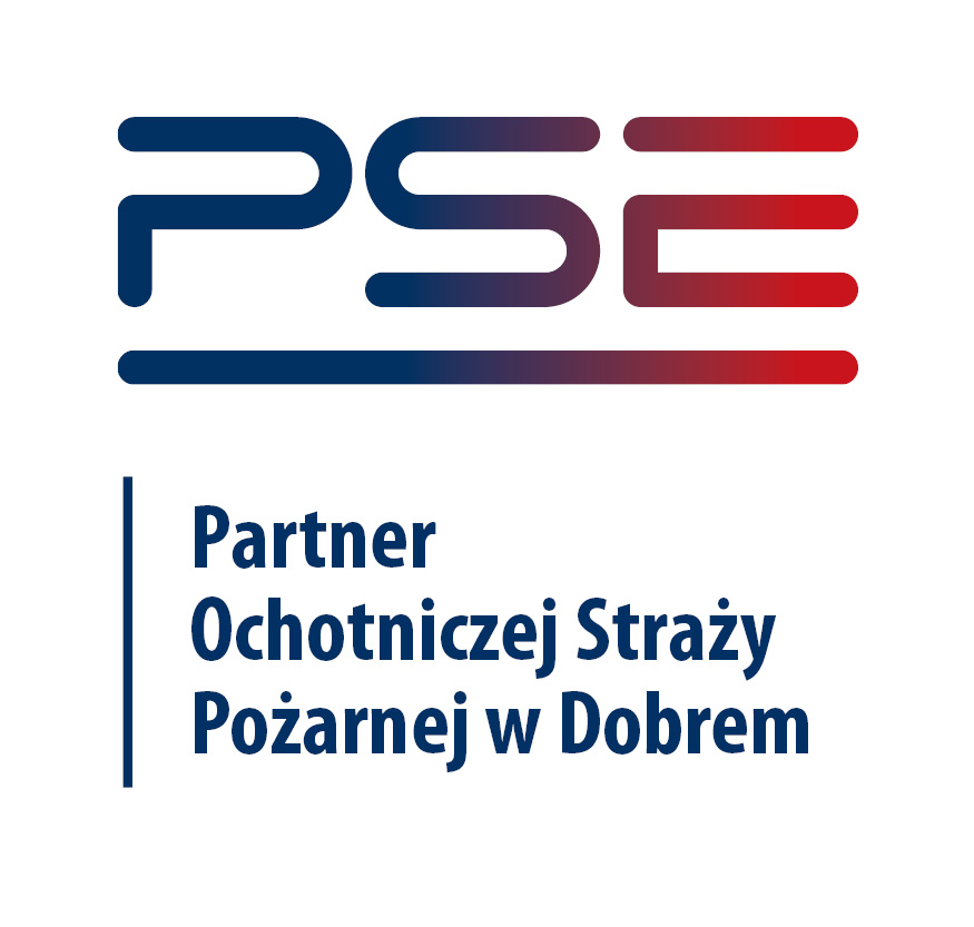 LOGO PSE