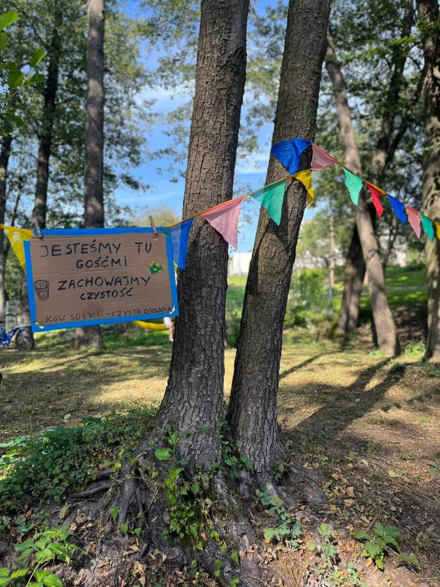 wstązki na drzewie