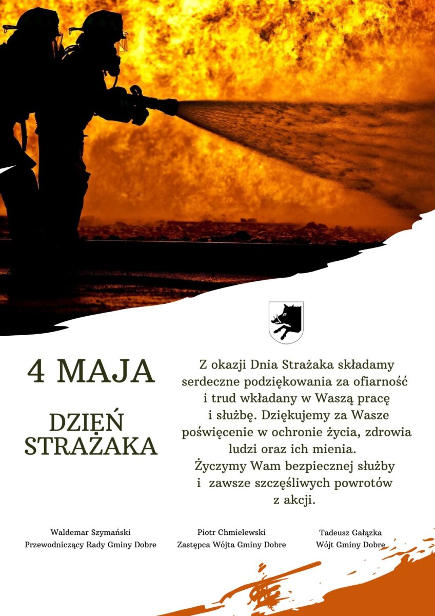 Strażacy na tle pożaru