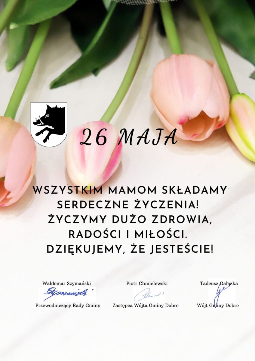 Różowe tulipany