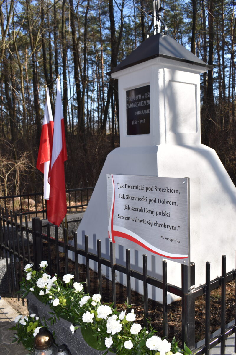 Na obrazku czarne metalowe ogrodzenie, które kontrastuje z białymi kwiatami rosnącymi tuż obok niego. Te ukryte białe kwiaty dodają uroku i naturalną elegancję surowemu wyglądu ciemnego płotu.