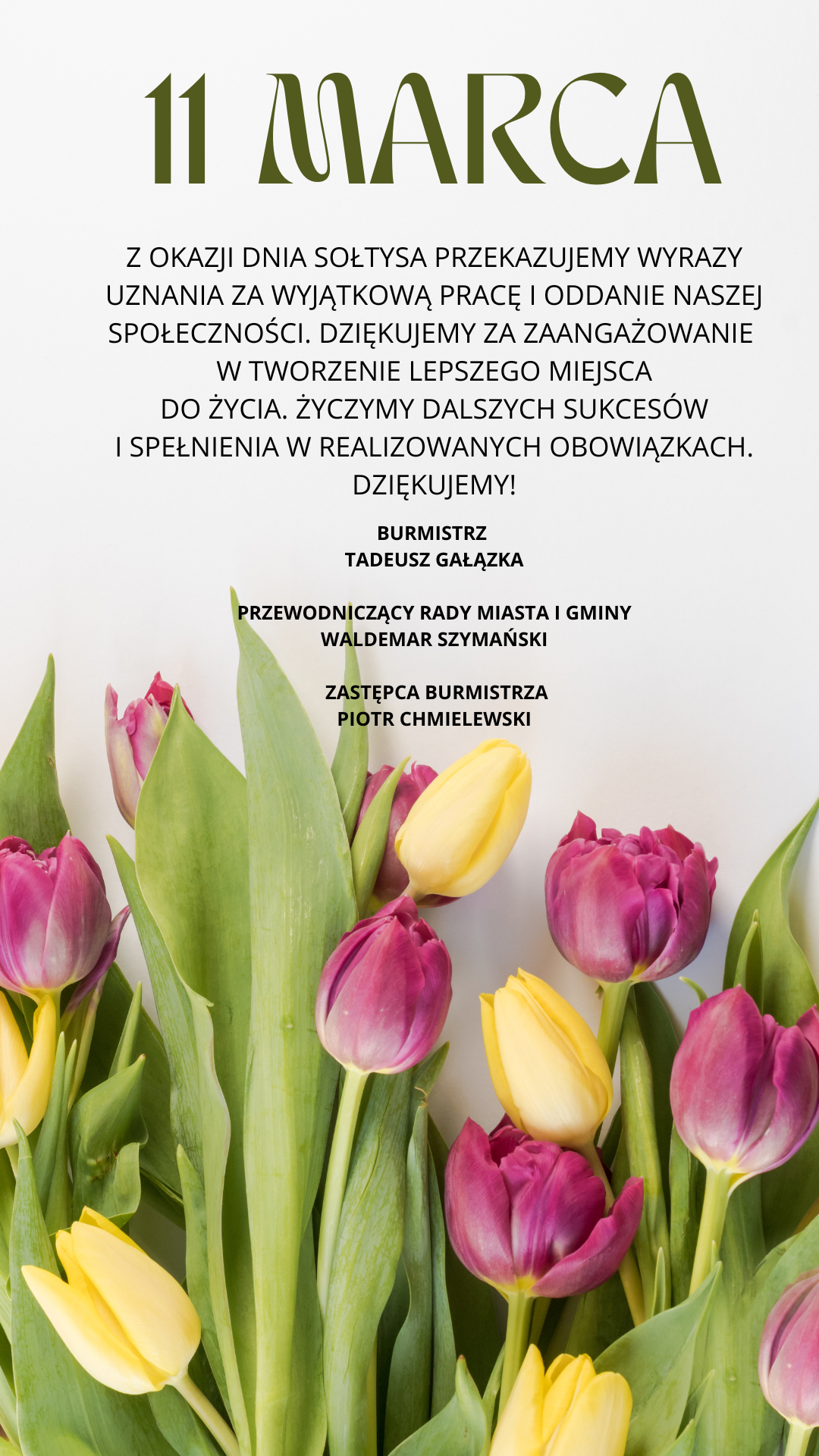 Na obrazku znajduje się plakat z wyobrażeniem tulipanów oraz napisem "11 marca". Czytelna data ozdobiona jest kolorowym motywem.