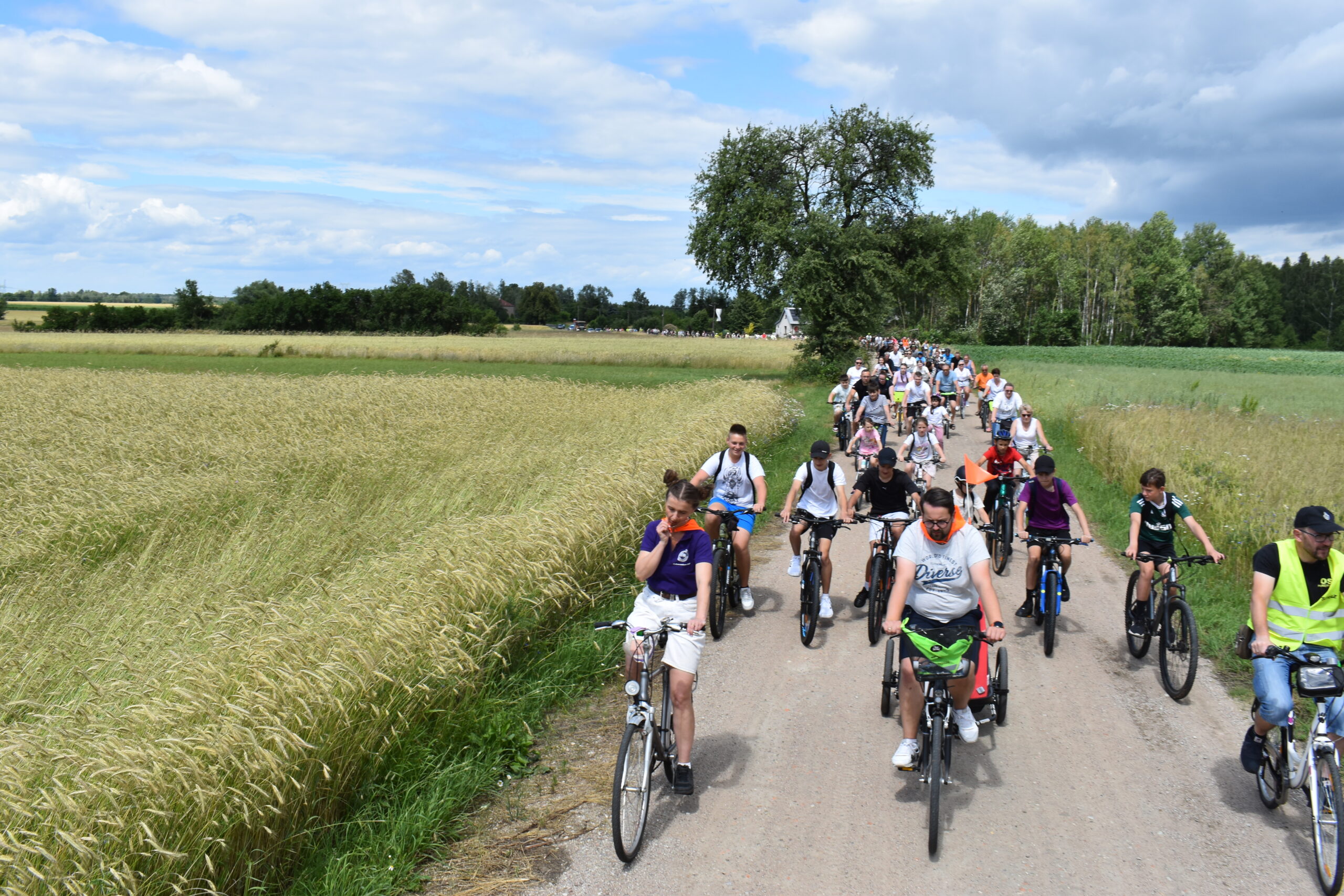 Duża grupa rowerzystów jedzie wzdłuż polnej drogi otoczonej zbożem. Krajobraz jest zielony, pod błękitnym niebem z chmurami. Tło stanowi las i pola.