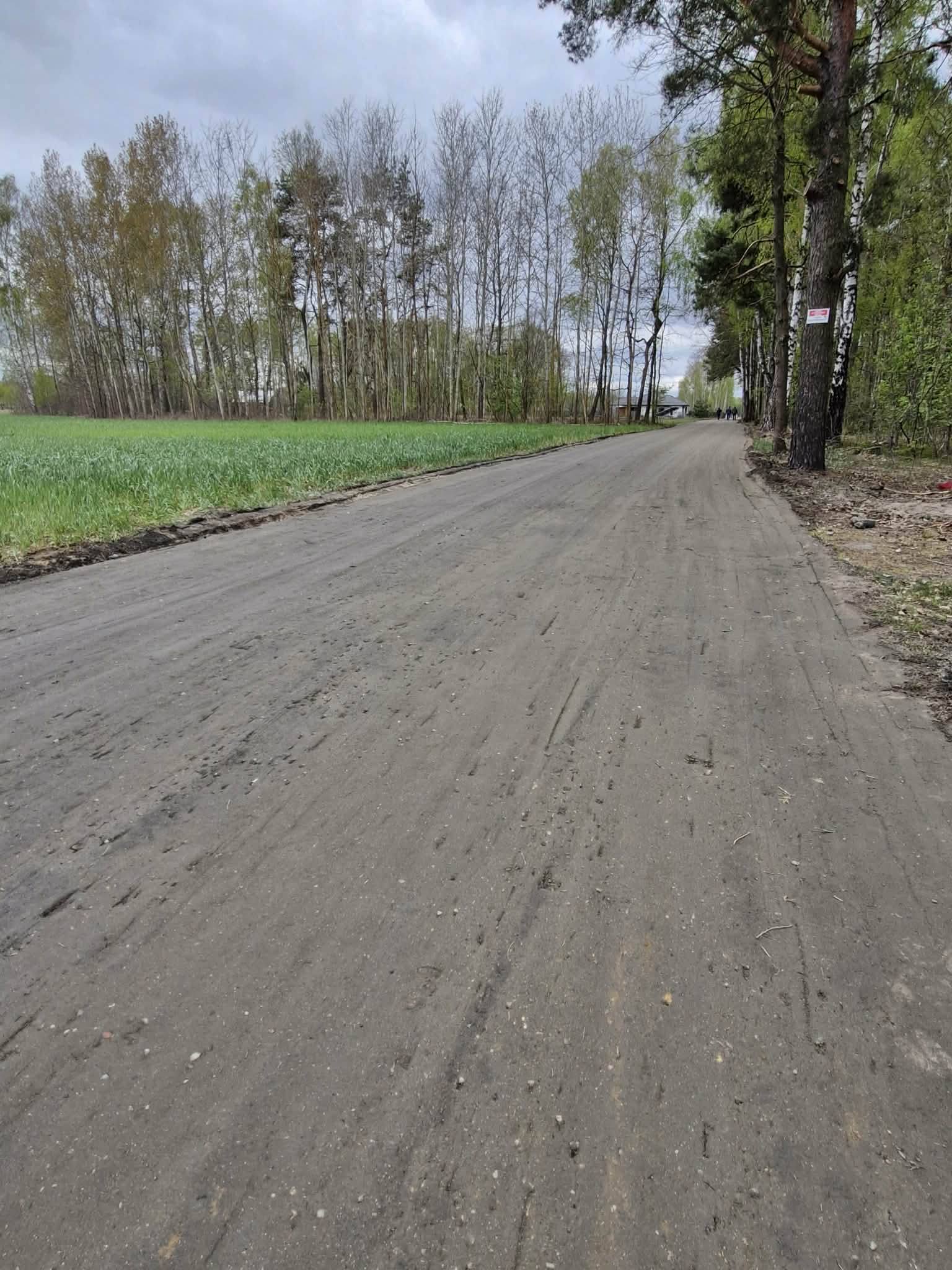 Wiejska droga z brązowym, żwirowym podłożem biegnie przez zalesiony teren. Po lewej stronie zielone pole, po prawej drzewa. W tle widać szary, zachmurzony nieboskłon.