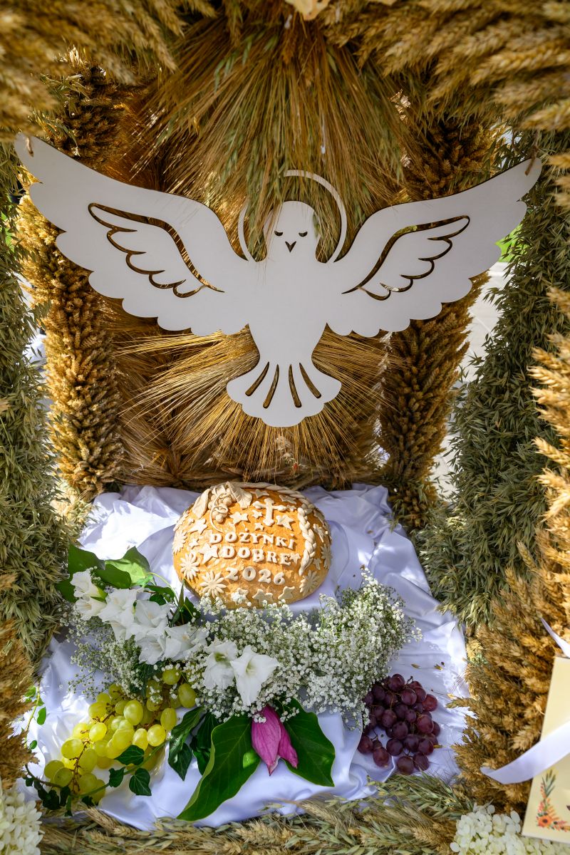 Chleb z napisem DOŻYNKI DOBRET 2026 na białej tkaninie. Obok winogrona i kwiaty. W tle dekoracja z zbożem i białym gołębiem.