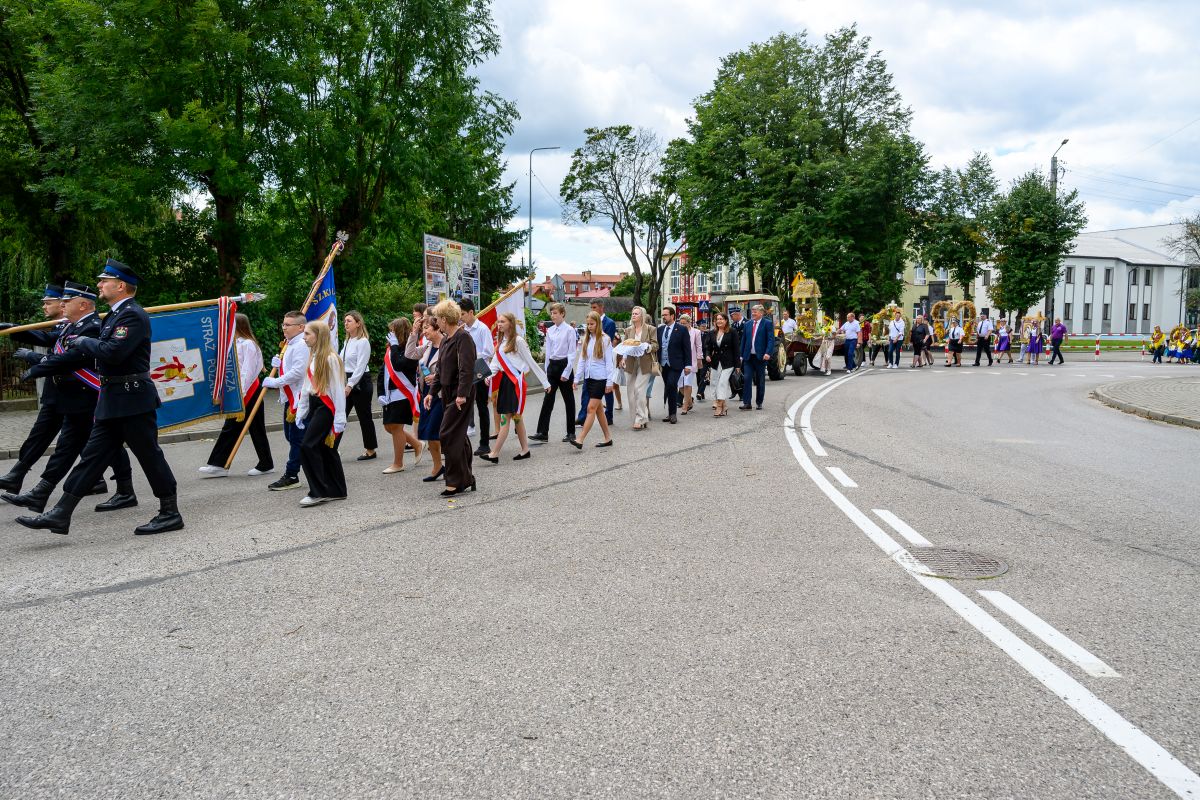Grupa ludzi maszeruje ulicą, wielu z flagami i sztandarami. Tło stanowią drzewa i budynki. Na niebie jasne chmury.